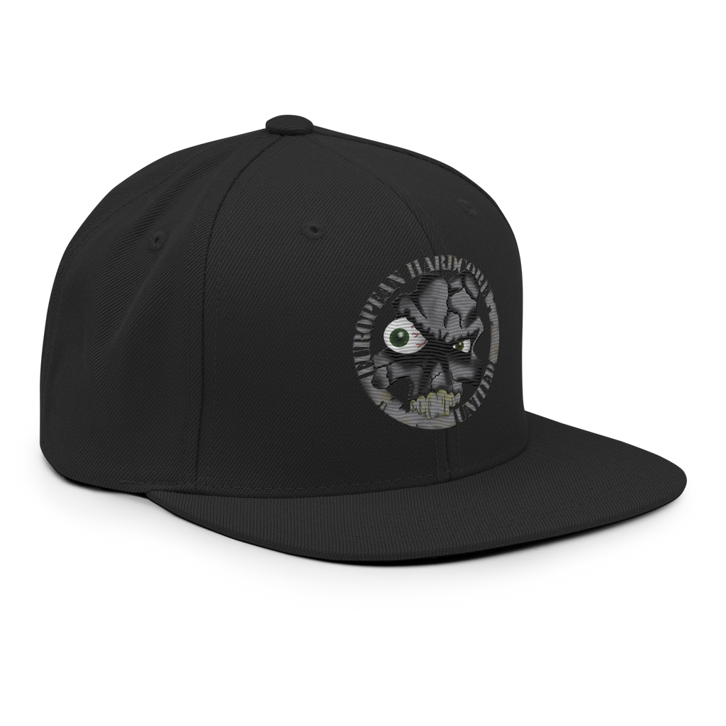 EHU classic 1996 Snapback Hat