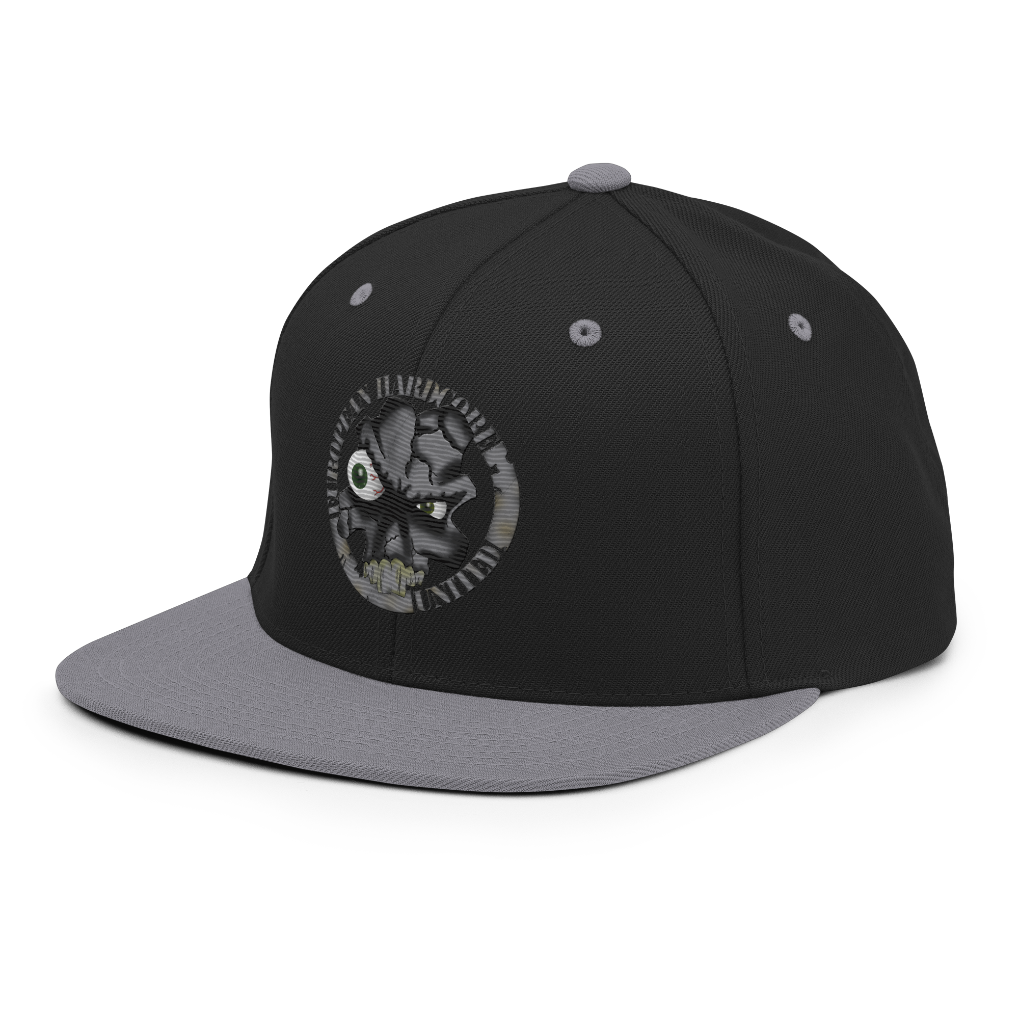 EHU classic 1996 Snapback Hat