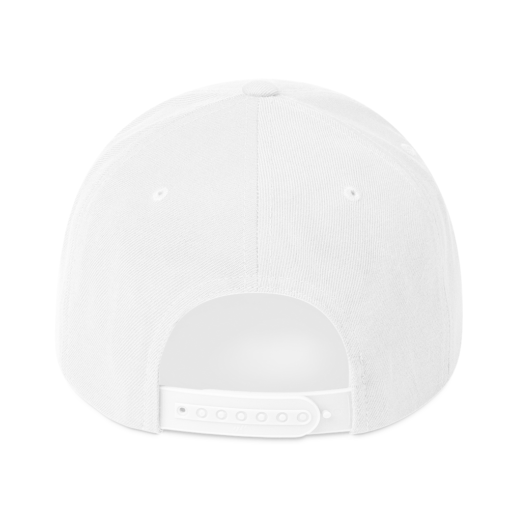 EHU classic 1996 Snapback Hat